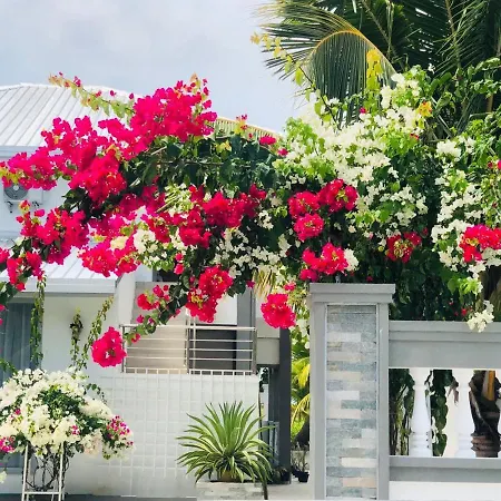 Bougain Villa Gemanafushi